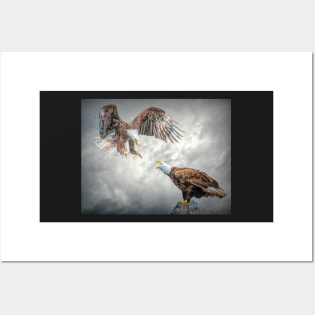 Squabbling Eagles Wall Art by Tarrby